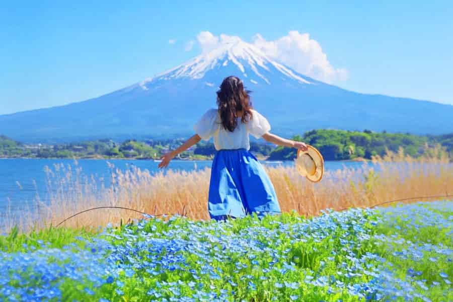 Mt Fuji Top 5 Spots Tagestour: Arakurayama Park, Oshino Hakkai. Foto: GetYourGuide