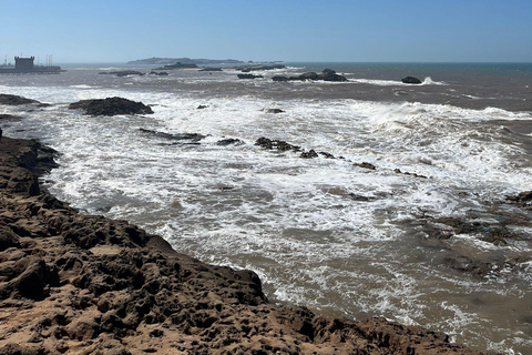From Marrakech: Essaouira Day Trip with Beach & Medina Essaouira Small Group Day Trip
