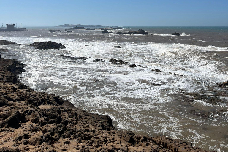 From Marrakech: Essaouira Day Trip with Beach & Medina Essaouira Small Group Day Trip