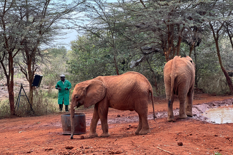 Parque Nacional de Nairóbi, Elephant Trust e Giraffe Center