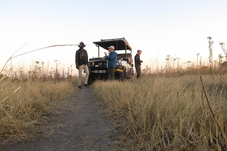 7 Días - Savuti - Khwai - Moremi (Safari móvil)