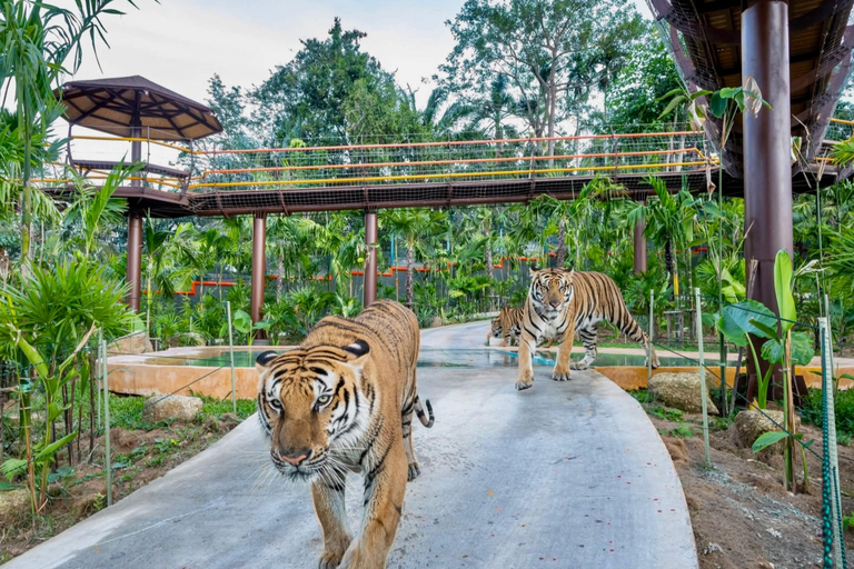 Canopy Forest Tiger Safari ATV Ride ,Feed Elephant Sanctuary Phuket: ATV Ride & Feeding Elephant Sanctuary