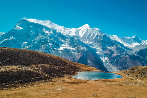 Pisang Peak Climb: Mentored 6000m Skills Expedition