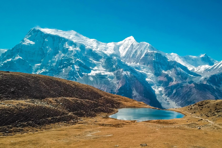 Pisang Peak Climb: Mentored 6000m Skills Expedition