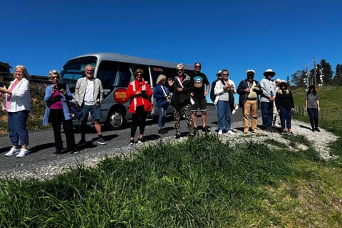Tauranga City & Scenic Sightseeing 2-hour Local Tour - Image 2