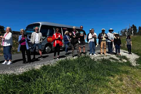 Tauranga City & Scenic Sightseeing 2-hour Local Tour - Image 3