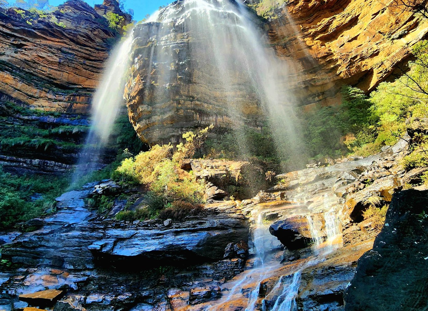 Fra Sydney: Blue Mountains-tur med vandfaldsvandring og frokost