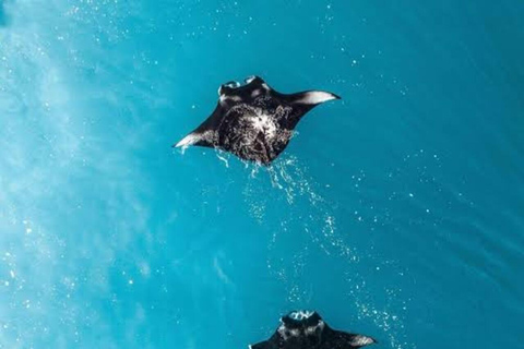 Bali/Nusa Penida: Private Snorkeling With Guide & West Tour Transfer from Sanur Area