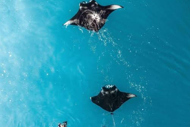 Bali/Nusa Penida: Private Snorkeling With Guide & West Tour Transfer from Sanur Area