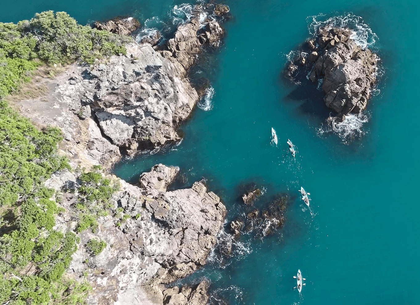 Whangamata: Guidet kajakoplevelse på Donut Island