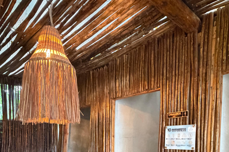 Private visit to Playa Blanca Barú with lunch included Visit Playa Blanca Baru Private with lunch included