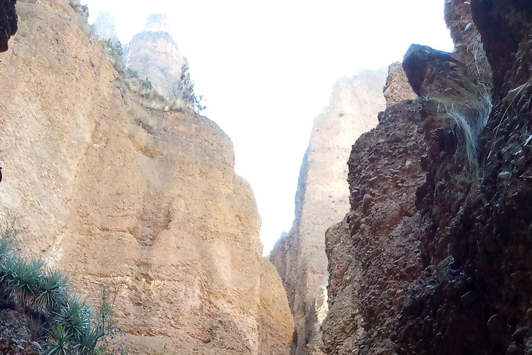 Tour privato - Fuga nelle valli e nei canyon di La PazNelle valli e nei canyon di La Paz