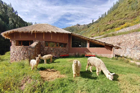 Cusco: Retiro de Ayahuasca de 3 días con Meditación