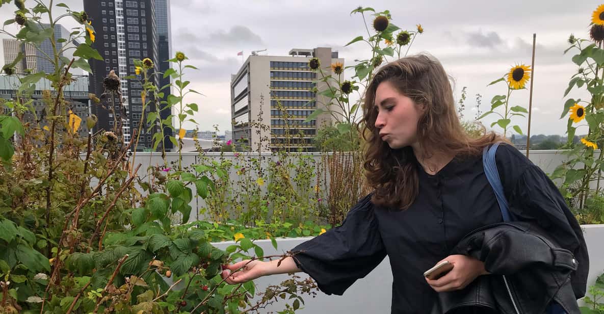 Afbeelding 6 van Je eigen Nederland. Rotterdam: Reis naar de toekomst
