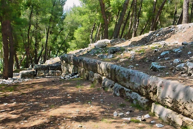 &quot;Scopri la collina di Gorica: Escursione attraverso la storia e la natura&quot;