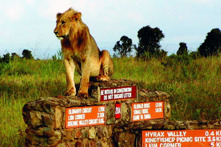 Vanuit Nairobi: Nairobi National Park Groepsavontuur