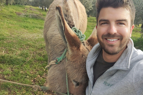 Organic EVOO tasting and guided visit to a family-run organic olive grove Organic EVOO tasting and guided visit to an organic family olive grove