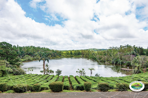 Mauritius: Tea, Rum, and Vanilla Route with Lunch Mauritius: Tea, Rum, and Vanilla Route with Lunch by Minibus