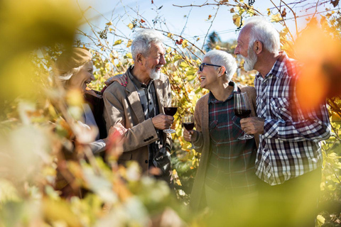 Wines and Whispers: A Barossa Valley Wine Tour from Adelaide