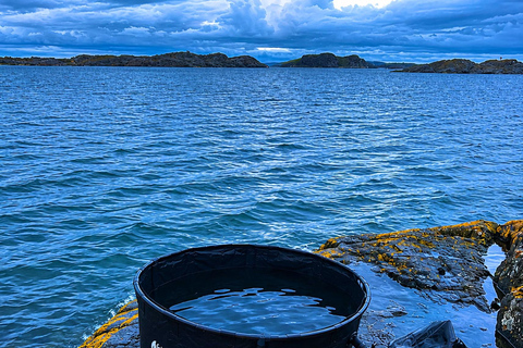 Gothenburg: Stora Amundön Hot Tub and Sea Dip Tour