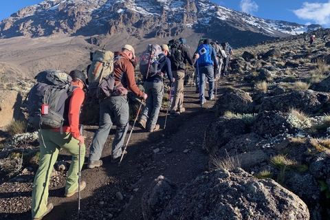 6 jours d&#039;ascension du Kilimandjaro par la route de Marangu