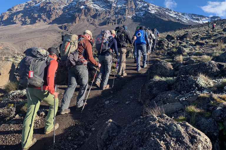 6 jours d&#039;ascension du Kilimandjaro par la route de Marangu