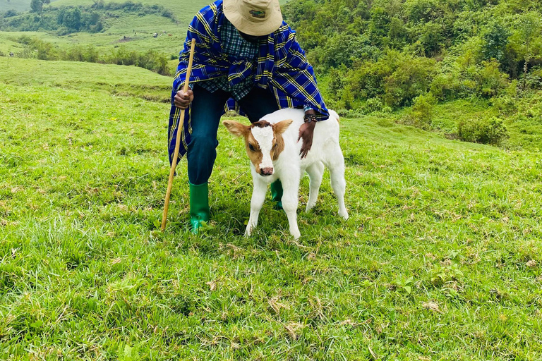 Kigali: Bigogwe, Lake Kivu & Dian Fossey Campus 2-Day Tour