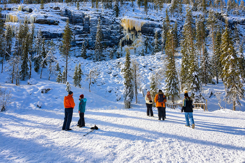 Rovaniemi: Korouoma Canyon & Frozen Waterfalls Tour ⭐ Korouoma Premium | 7h | Small Group | BBQ & Photos