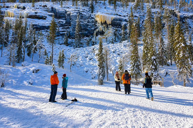 Rovaniemi: Korouoma Canyon & Frozen Waterfalls Tour ⭐ Korouoma Premium | 7h | Small Group | BBQ & Photos