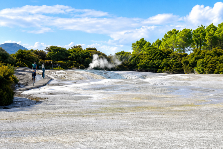 Tauranga: Wai-O-Tapu Thermal Wonderland Cruise Ship Tour