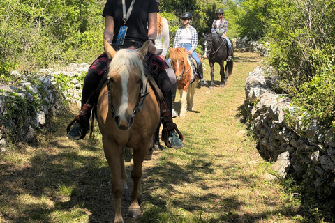 Dubrovnik: Horse Riding with local guide - beginner friendly