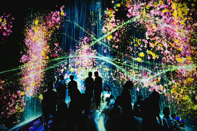 Tokyo: TeamLab Borderless & Roppongi Art Architecture Tour