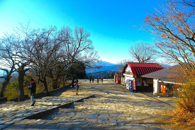 Mount Takao Adventure: Discover Nature &amp; Tradition in Tokyo