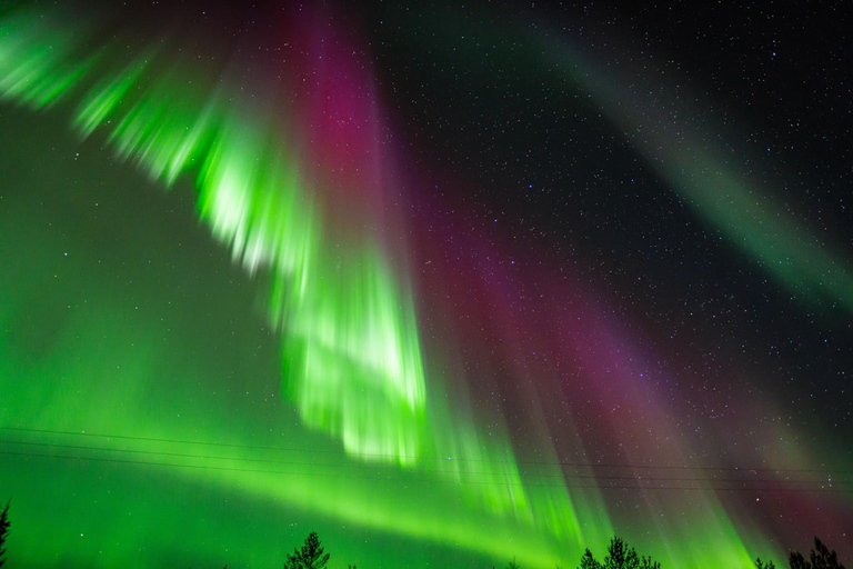 Rovaniemi: Aurora Hunt with 95% Success Rate, 4 people group Rovaniemi: Aurora Hunt with 95% Success Rate, PRIVATE