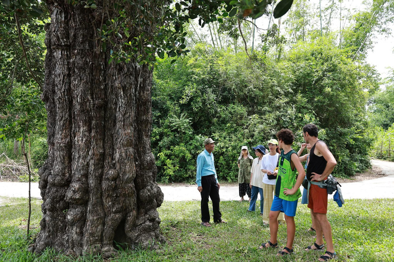 Hoi An/Da Nang: Ky Anh Tunnels & Champa Towers Tour