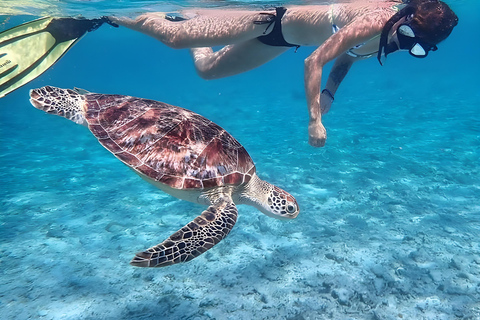 Lombok: nurkowanie z rurką (Gili Trawangan, Meno i Gili Air)