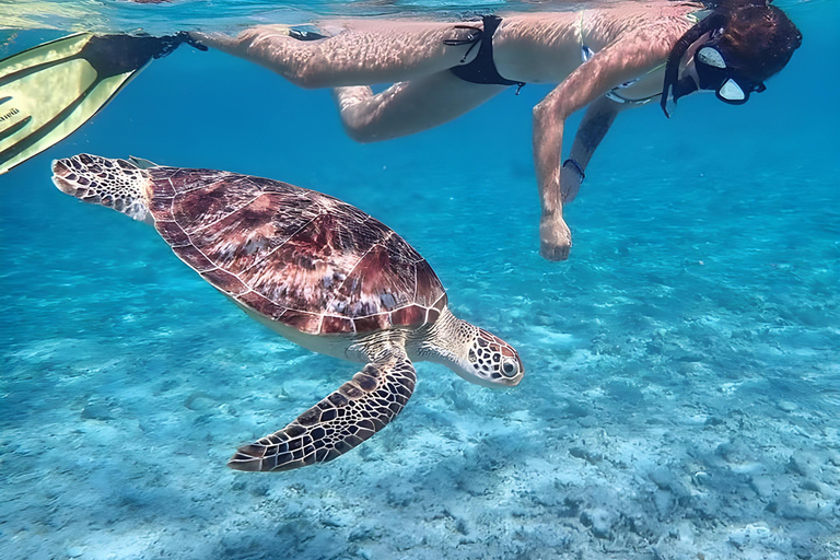 Lombok : Excursion de plongée en apnée (Gili Trawangan, Meno &amp; Gili Air)