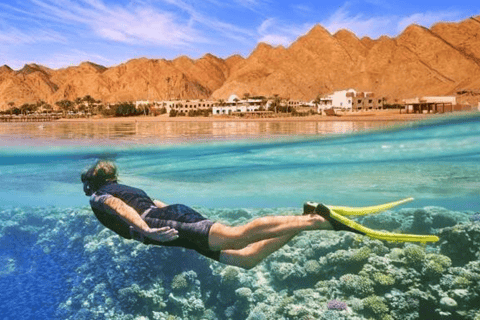 Full Day City Tour in Aqaba & Snorkeling Time & Meal