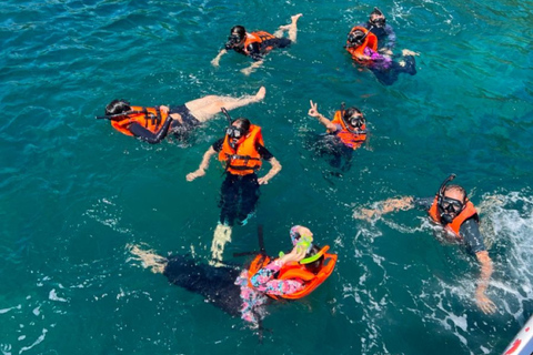 Da Nang: Son Tra Reef Snorkeling by Speedboat [2 hours] Coastal Escape Experience – Meet at Harbor