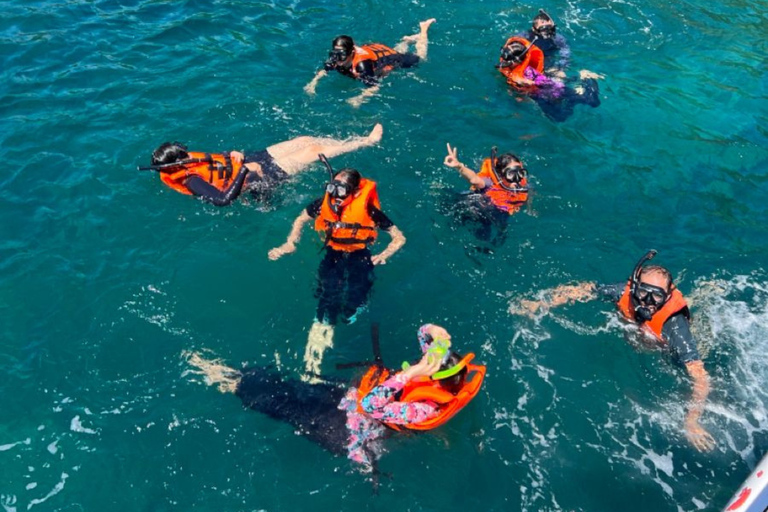 Da Nang: Son Tra Reef Snorkeling by Speedboat [2 hours] Coastal Escape Experience – Meet at Harbor