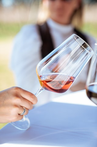 Montevideo: Viña Varela Zarranz Winery Tour with Tasting