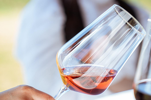 Montevideo: Viña Varela Zarranz Winery Tour with Tasting