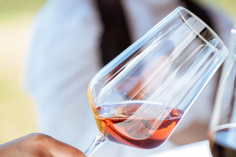 Montevideo: Viña Varela Zarranz Winery Tour with Tasting