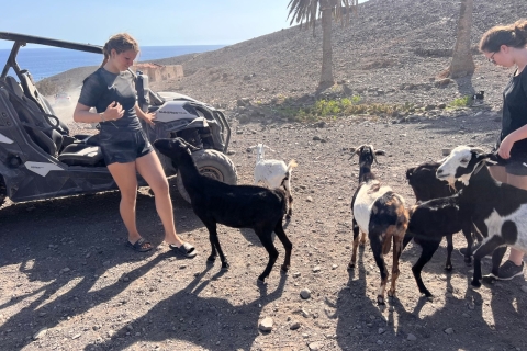 Fuerteventura : Excursion en buggy dans le sud de l'îleBuggy pour 1 personne
