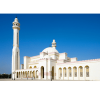 Bahrain City and Desert Tour - Housity