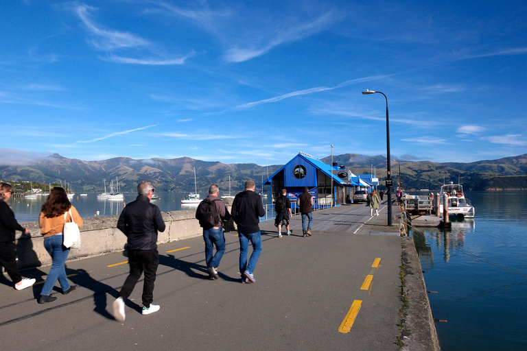 Christchurch to Akaroa Scenic One-Way Transfer
