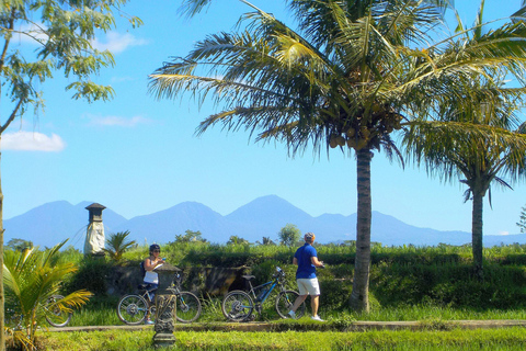 Ubud: Half-Day Tegallalang Electric Cycling Tour