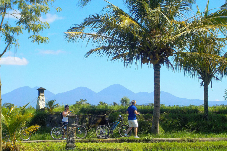 Ubud: Half-Day Tegallalang Electric Cycling Tour