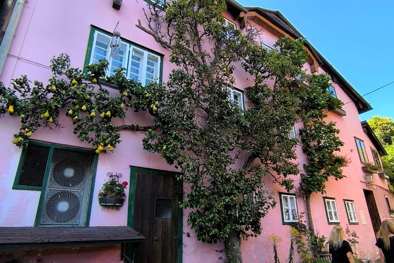 Serene Austrian Escape: Dürnstein, Melk, Salzburg, Hallstatt