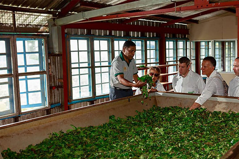 Ella: Little Adam's Peak, Nine Arch Bridge, and Ravana Falls